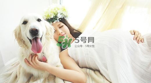 孕婦不能養(yǎng)寵物嗎？為什么孕婦不能養(yǎng)寵物？