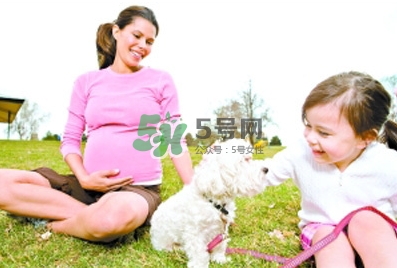 孕婦能養(yǎng)狗嗎？孕婦養(yǎng)狗注意事項