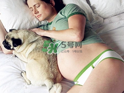 孕婦不能養(yǎng)寵物嗎？為什么孕婦不能養(yǎng)寵物？