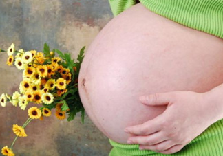 為什么孕婦的肚子有尖有圓？孕婦肚子尖圓對照圖