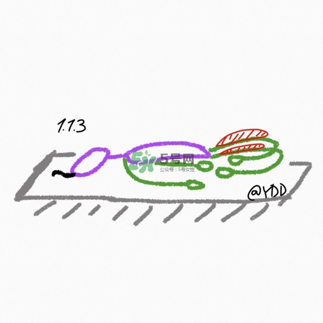 腿臀及胸臂拉伸運(yùn)動(dòng)圖解 腿臀及胸臂拉伸運(yùn)動(dòng)圖解