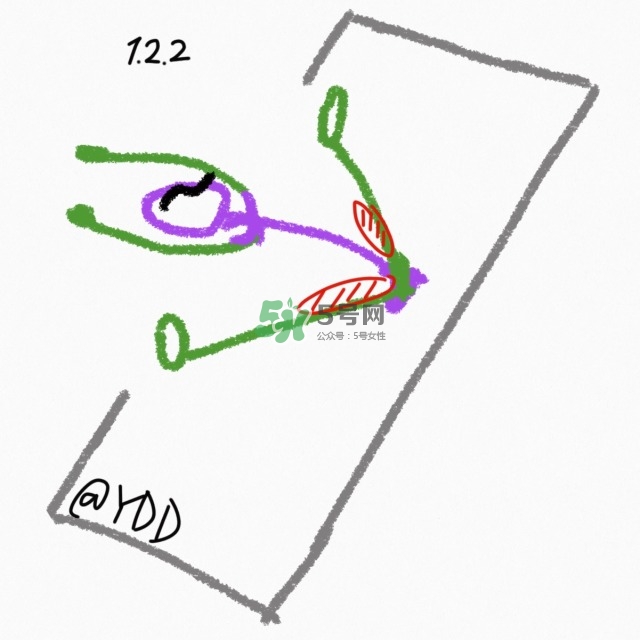 腿臀及胸臂拉伸運(yùn)動(dòng)圖解 腿臀及胸臂拉伸運(yùn)動(dòng)圖解