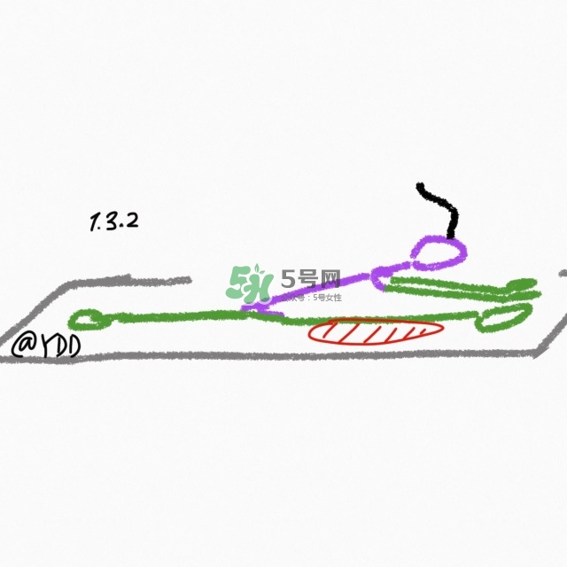 腿臀及胸臂拉伸運(yùn)動(dòng)圖解 腿臀及胸臂拉伸運(yùn)動(dòng)圖解