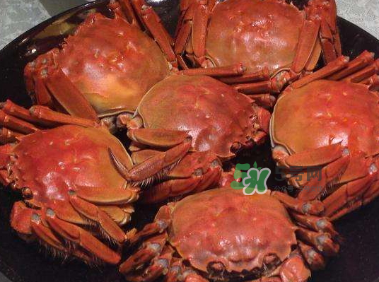 盤錦河蟹批發(fā)市場在哪？盤錦河蟹哪里最正宗？