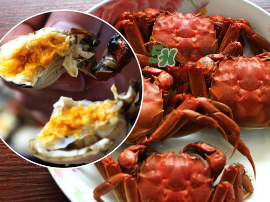 盤錦河蟹批發(fā)市場在哪？盤錦河蟹哪里最正宗？