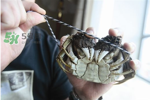 大閘蟹為什么要綁？大閘蟹怎么捆？