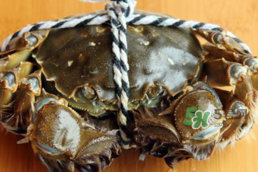 大閘蟹為什么要綁？大閘蟹怎么捆？