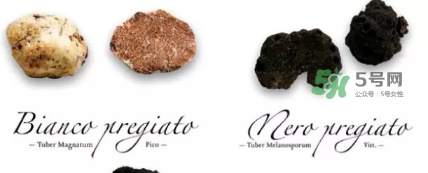 世界上評價(jià)較高的松露品種是什么？白松露和黑松露哪個(gè)好