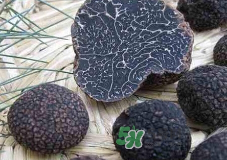 松露為什么那么貴？松露為什么這么貴？