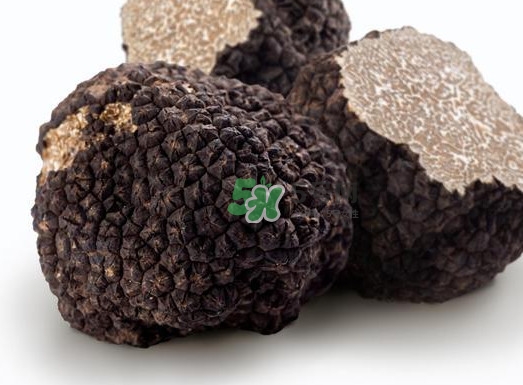 松露是什么味道？松露到底有多好吃
