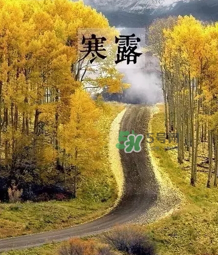白露是寒露嗎？白露和寒露的區(qū)別