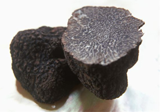 松露為什么那么貴？松露為什么這么貴？