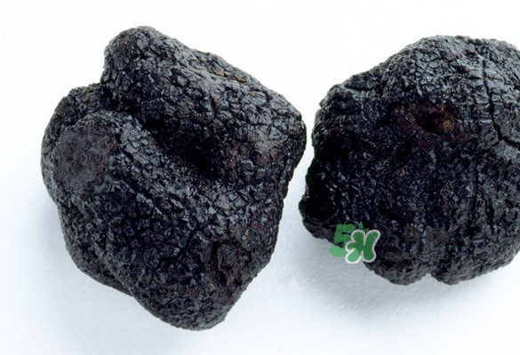 世界上評價(jià)較高的松露品種是什么？白松露和黑松露哪個(gè)好