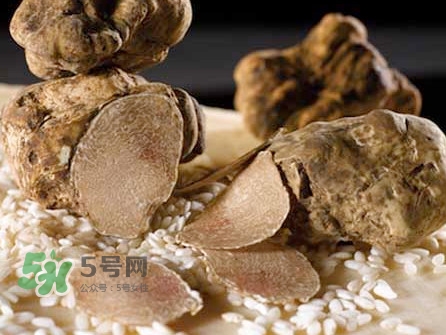 松露為什么那么貴？松露為什么這么貴？