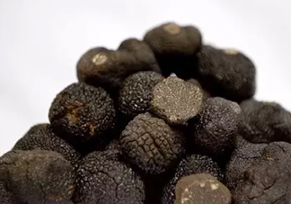 世界最大的松露是在哪個(gè)國家發(fā)現(xiàn)的？松露怎么吃