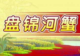 盤錦河蟹批發(fā)市場在哪？盤錦河蟹哪里最正宗？