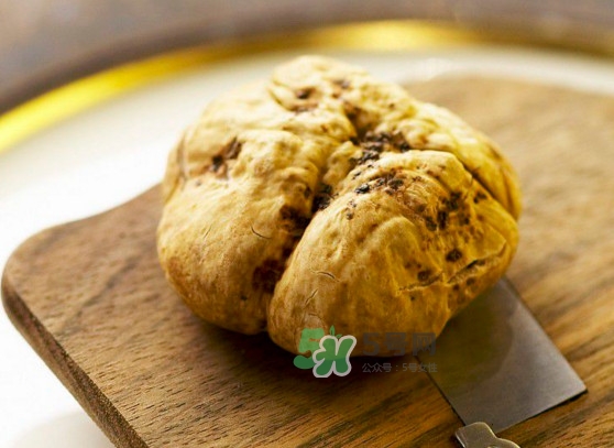 松露是什么味道？松露到底有多好吃