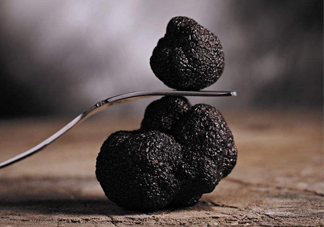 松露是什么味道？松露到底有多好吃