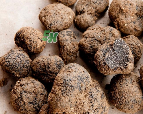 松露是什么樣子的？松露是怎么形成的