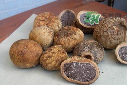 松露是保健品嗎？松露怎么保存