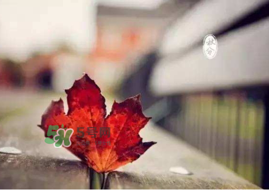 2017秋分還熱嗎？2017年秋分以后還熱嗎？