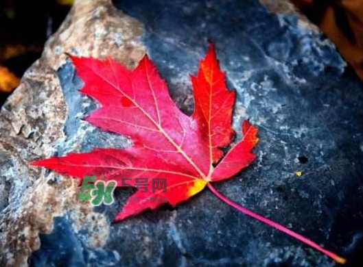 2017秋分還熱嗎？2017年秋分以后還熱嗎？