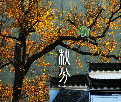 2017秋分會(huì)下雨嗎？2017秋分下雨好不好？