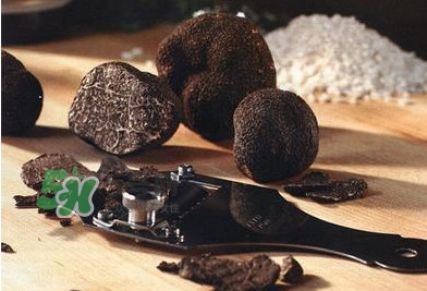 松露是保健品嗎？松露怎么保存