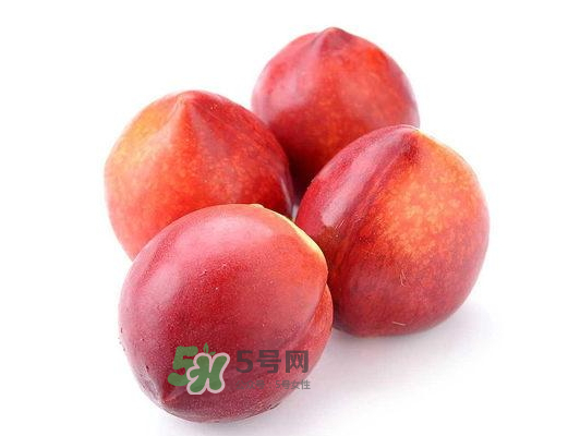 九月份還有桃子嗎？9月份成熟的桃子有幾種？