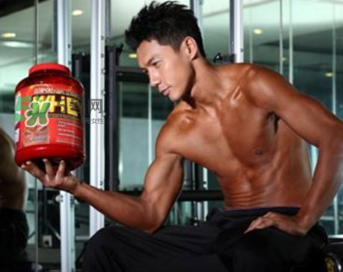 蛋白粉和增肌粉有什么區(qū)別？蛋白粉和增肌粉能一起吃嗎？