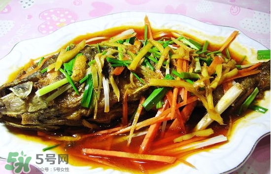黑魚(yú)能愈合傷口嗎？黑魚(yú)為什么對(duì)傷口愈合？