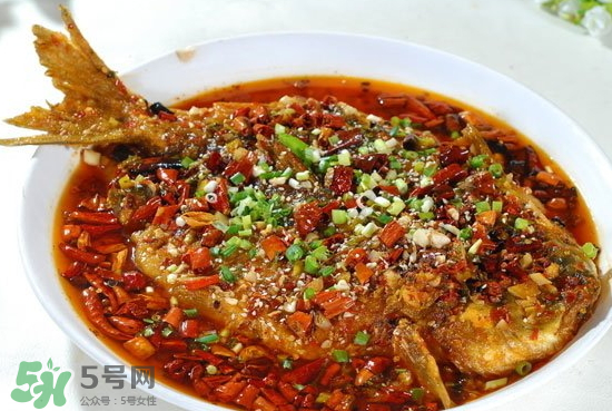 黑魚(yú)能愈合傷口嗎？黑魚(yú)為什么對(duì)傷口愈合？