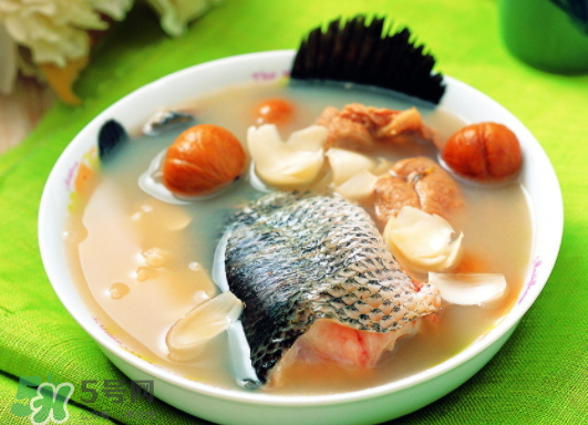 黑魚(yú)能愈合傷口嗎？黑魚(yú)為什么對(duì)傷口愈合？