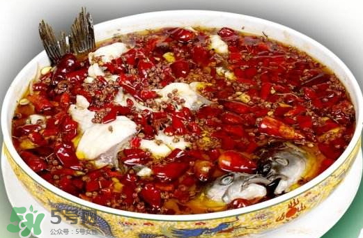 鯉魚(yú)可以做水煮魚(yú)嗎？水煮鯉魚(yú)的做法