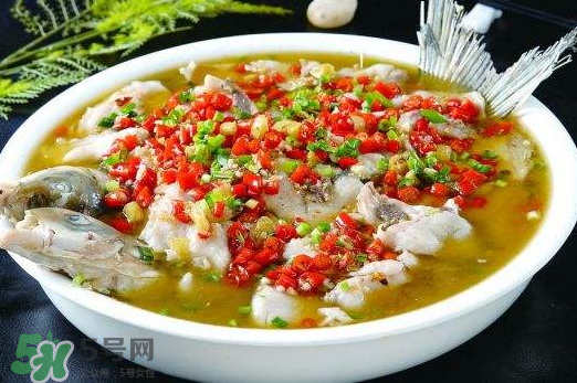 鯉魚(yú)可以做水煮魚(yú)嗎？水煮鯉魚(yú)的做法