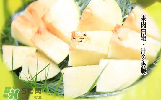 綠寶石梨多少錢一斤？綠寶石梨價格表