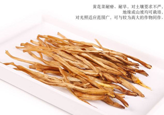 新鮮黃花菜怎么保存？干黃花菜怎么保存