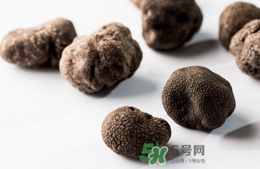 松露對女人有什么好處？松露對男人有什么好處