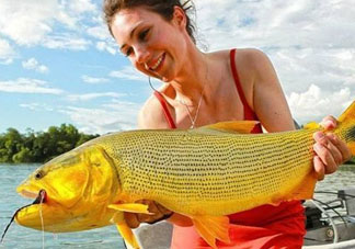 9月份釣什么魚？9月份釣草魚嗎？