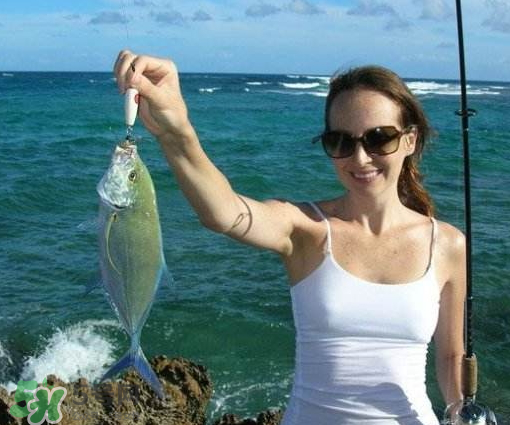 9月份釣什么魚(yú)？9月份釣草魚(yú)嗎？