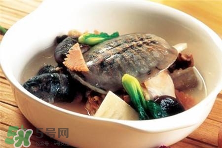 產(chǎn)婦能吃甲魚嗎？產(chǎn)婦能吃甲魚湯嗎？