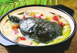 甲魚湯下奶嗎？下奶的食物有哪些？