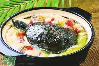 甲魚(yú)湯下奶嗎？下奶的食物有哪些？