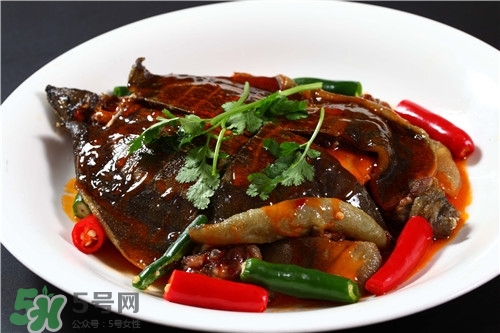 甲魚湯是涼性的嗎？甲魚湯的禁忌人群