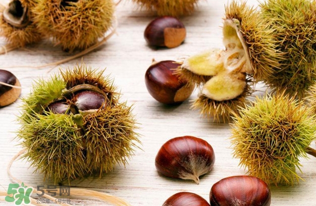 被板栗刺了怎么辦？板栗刺球煮水喝有什么作用