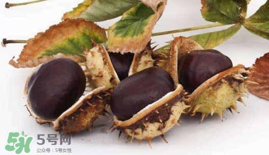 板栗殼怎么好剝？怎樣剝板栗殼最快