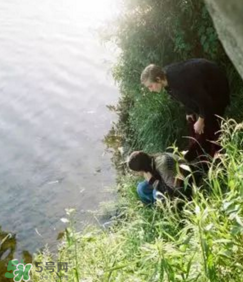 lad musician2017秋冬系列怎么樣_好看嗎_款式有哪些？