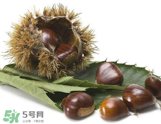 板栗殼里面的皮能吃嗎？板栗殼有什么作用