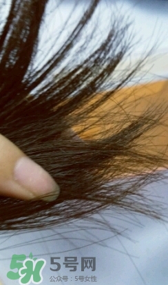 護(hù)發(fā)精油怎么用？護(hù)發(fā)精油使用方法