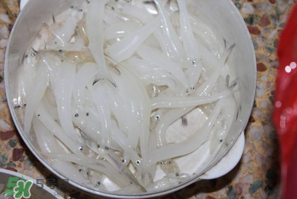 大銀魚多少錢一斤？大銀魚怎么洗？